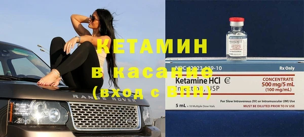 стафф Каменка
