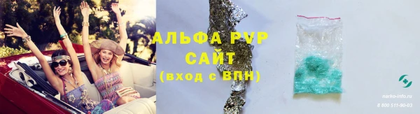 стафф Каменка