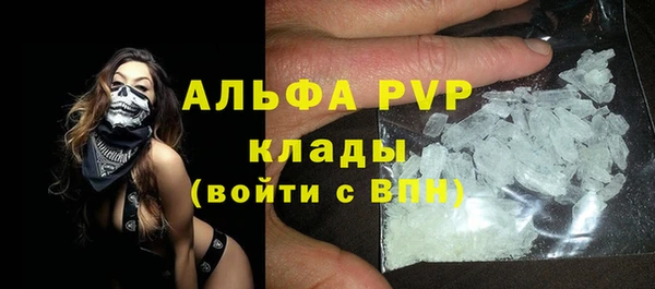 стафф Каменка