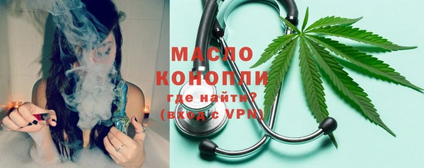 стафф Каменка