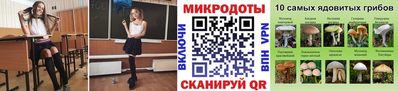 Псилоцибиновые грибы Psilocybe  мориарти Telegram  Миасс 