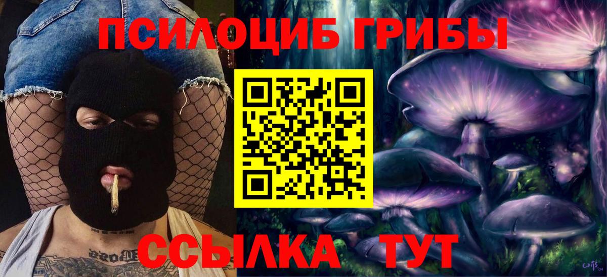 Миасс  Галлюциногенные грибы Cubensis  Вход с VPN 