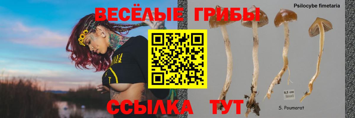 Псилоцибиновые грибы Cubensis Миасс